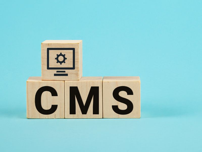 CMS SEO