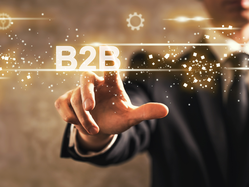 b2b seo particularidades