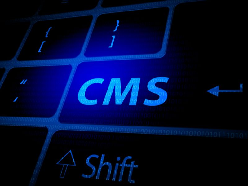 CMS SEO sites